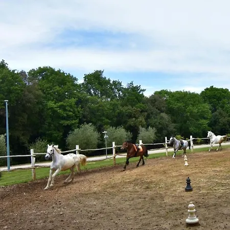 Appartement Noa 4 By Interhome *