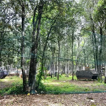 Noa 4 By Interhome * Tar-Vabriga