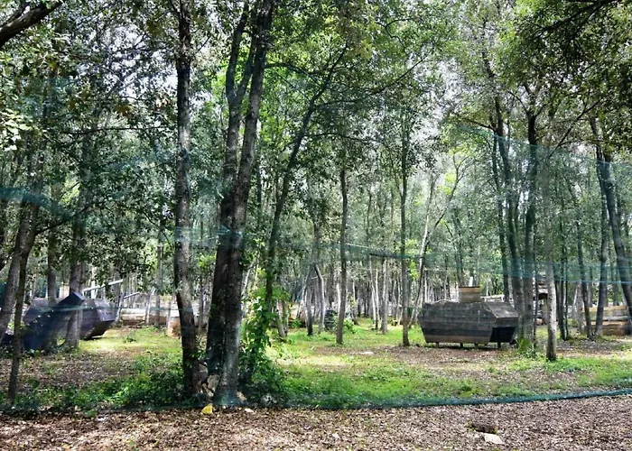 Noa 4 By Interhome * Tar-Vabriga