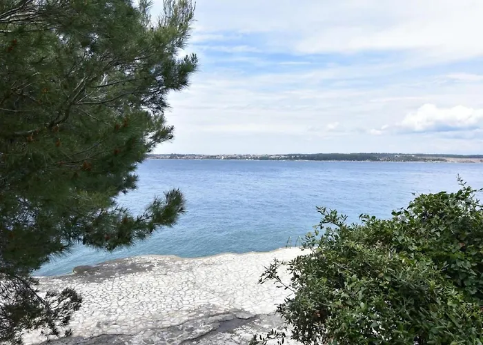 Noa 4 By Interhome Appartement Tar-Vabriga